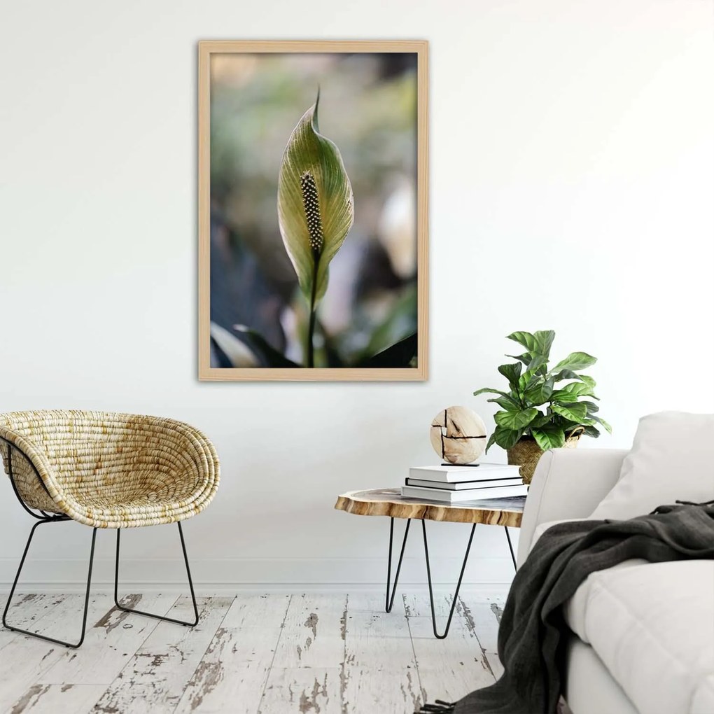 Gario Plagát Zaujímavá exotická rastlina Farba rámu: Bez rámu, Rozmery: 40 x 60 cm