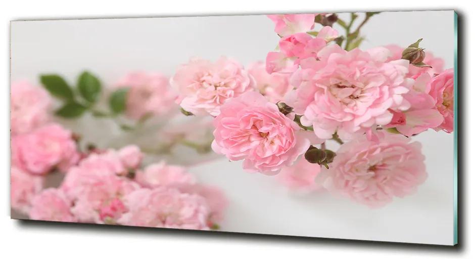 Moderné sklenený obraz z fotografie Divoké ruže cz-obglass-125x50-113333755