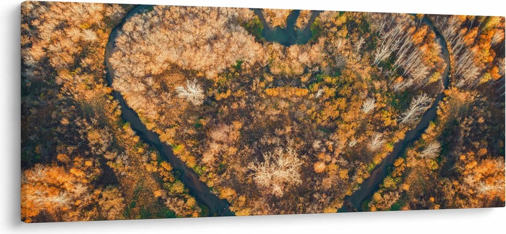 Obraz - Rieka v tvare srdca (120x50 cm)