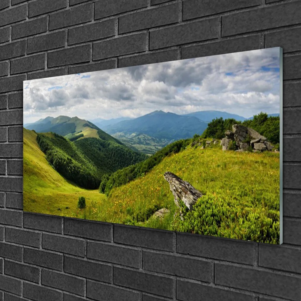 Obraz na skle Hora lúka krajina 125x50 cm