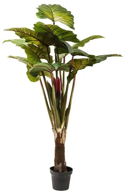 KARE DESIGN Sada 2 ks Dekoratívny predmet Plant Rainforest 160 cm zelený 160 × 50 × 50 cm