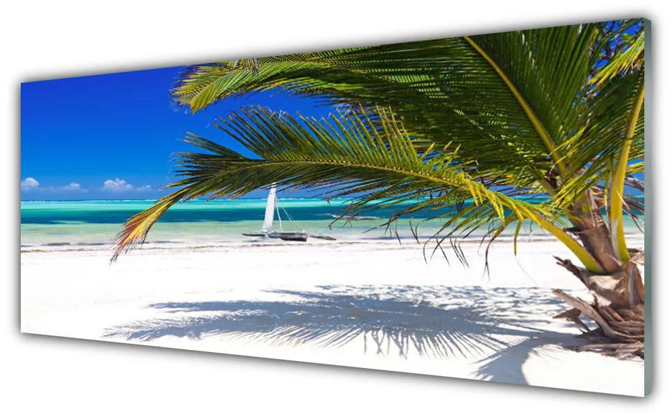 Obraz plexi Pláž palma príroda 125x50 cm
