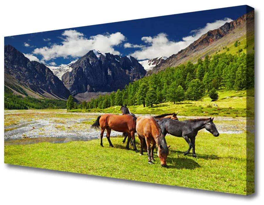 Obraz Canvas Hory stromy kone zvieratá 120x60 cm