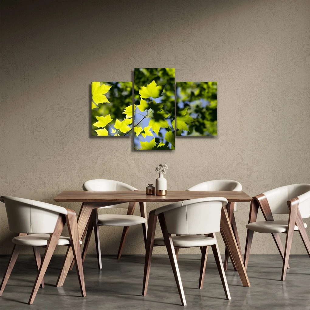 Obraz - javorové listy (90x60 cm)