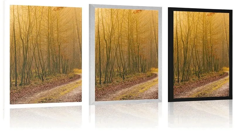 Plagát cestička do lesa - 20x30 silver