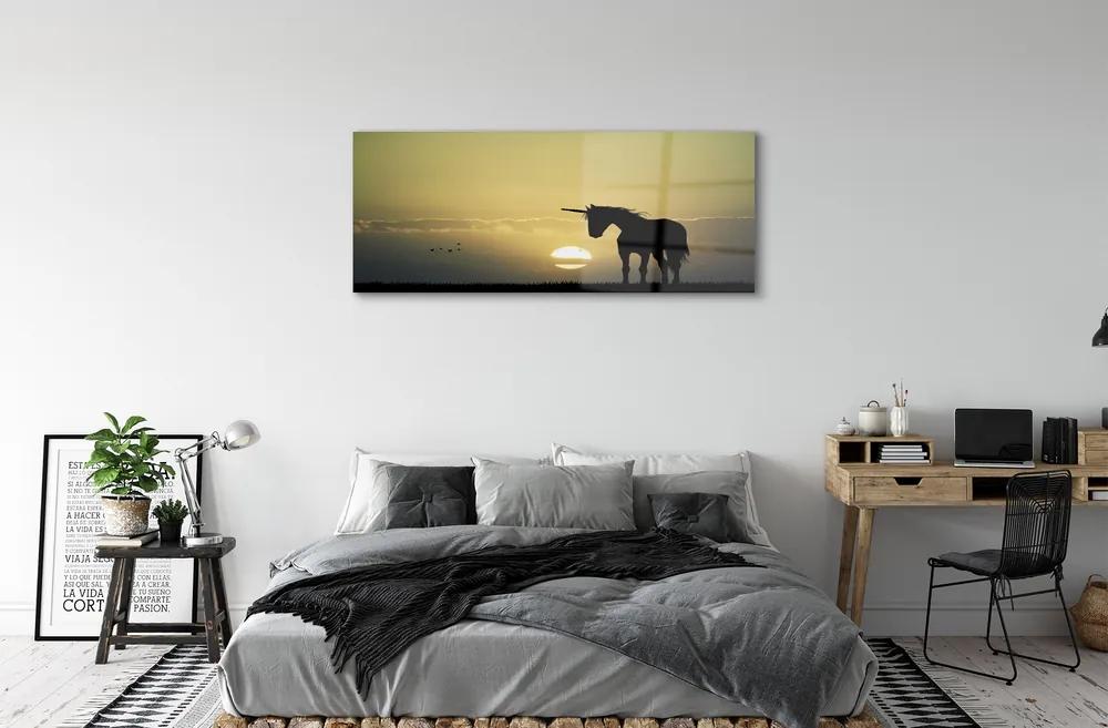 Obraz na akrylátovom skle Pole sunset jednorožec 120x60 cm