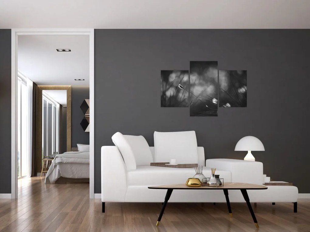 Obraz - Lúčna tráva (90x60 cm)