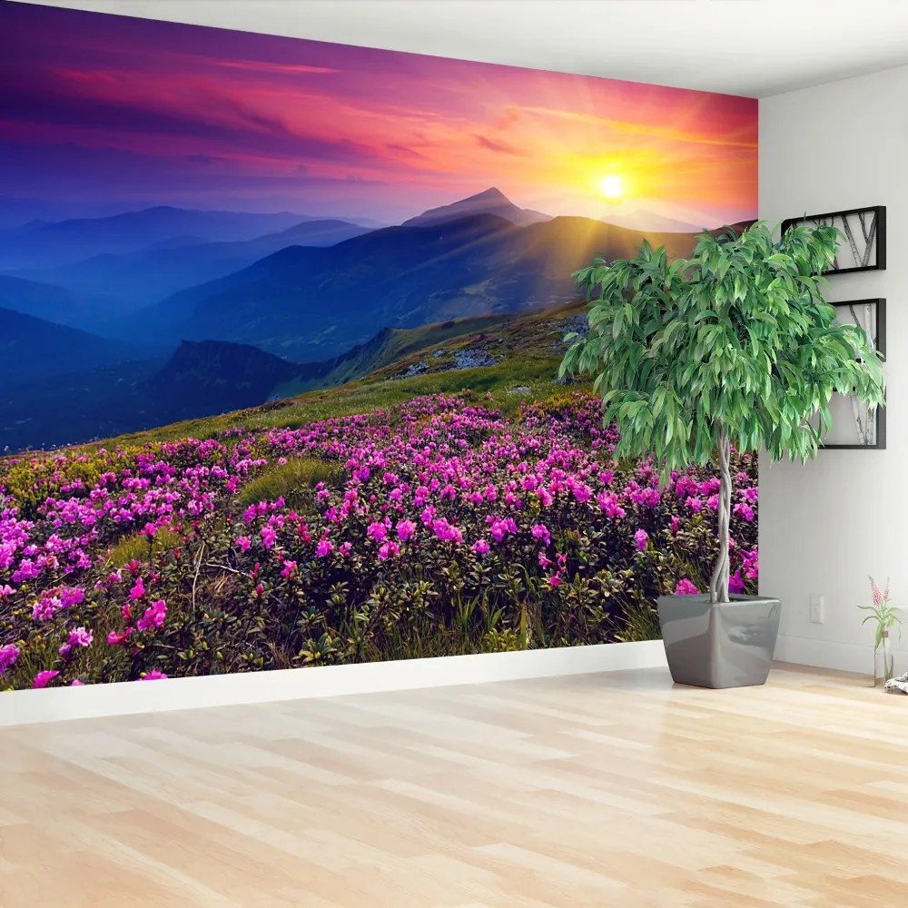 Fototapeta Vliesová Rhododendron kvety 208x146 cm