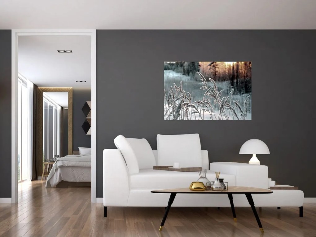 Obraz - Zamrznutá lúka (90x60 cm)