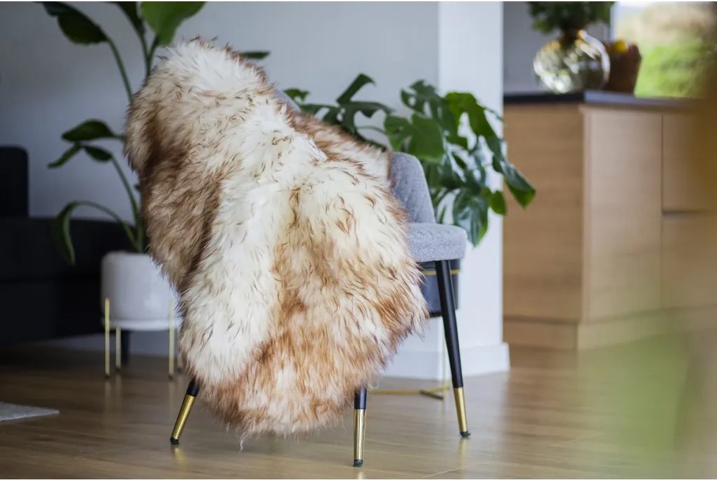 Ovčia kožušina muflón