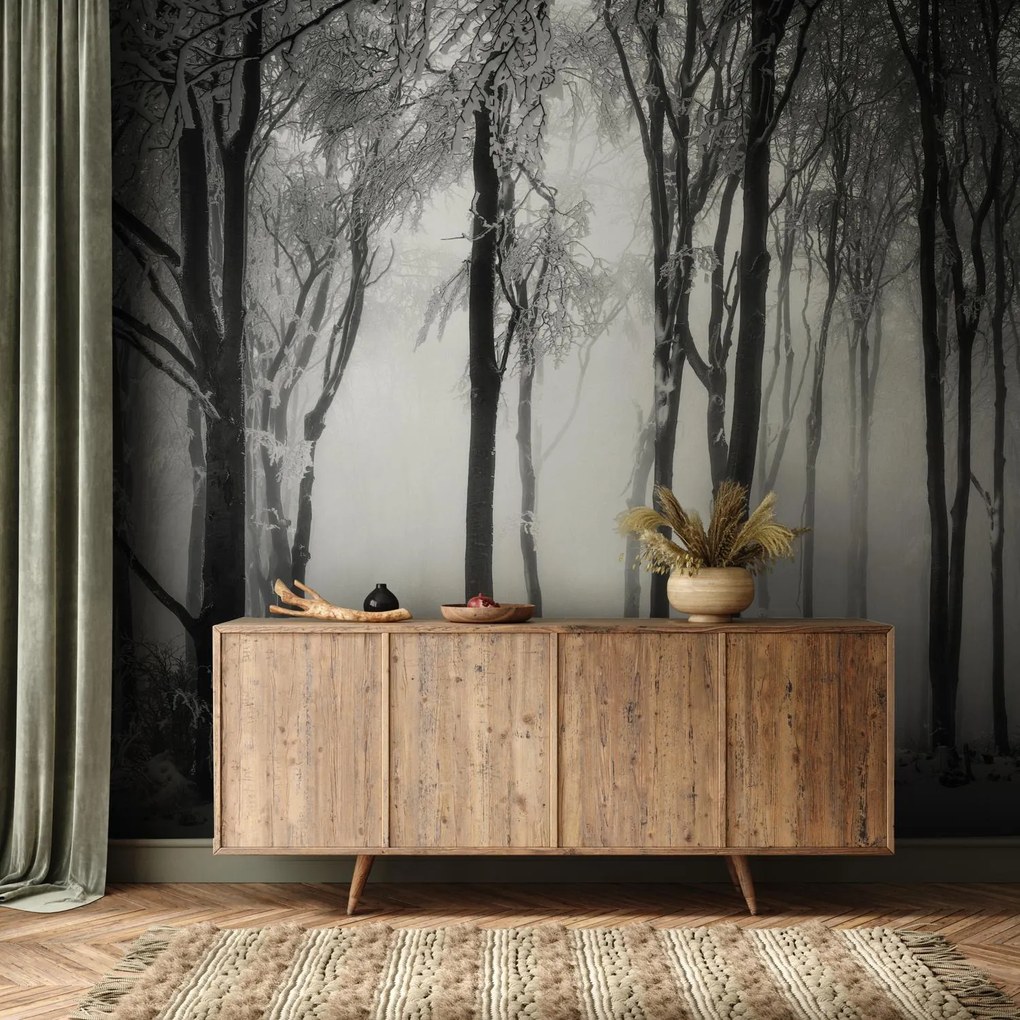 Fototapeta - Temný les s vlkom (147x102 cm)