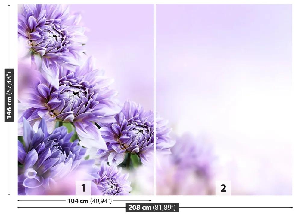 Fototapeta Vliesová Fialové kvety 152x104 cm