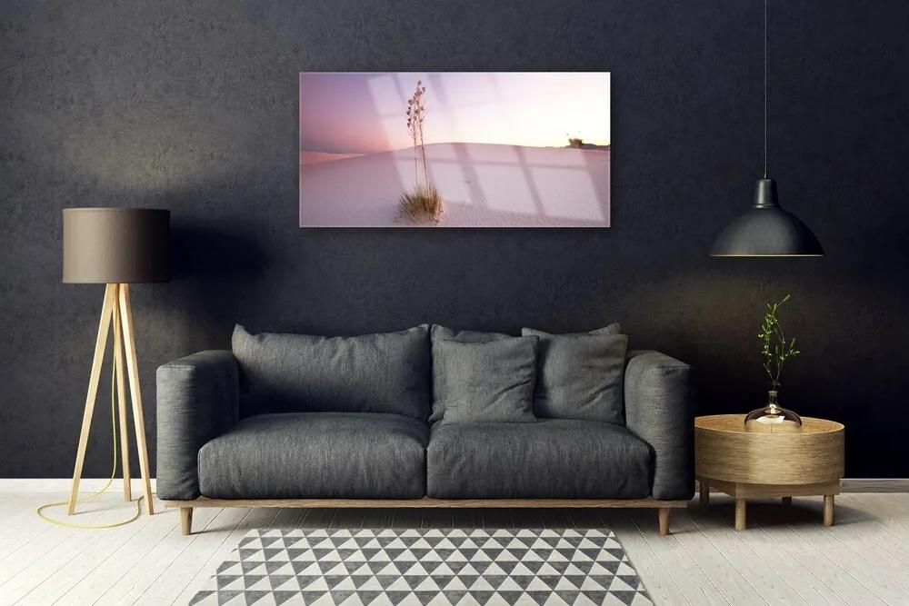 Skleneny obraz Púšť písek krajina 120x60 cm