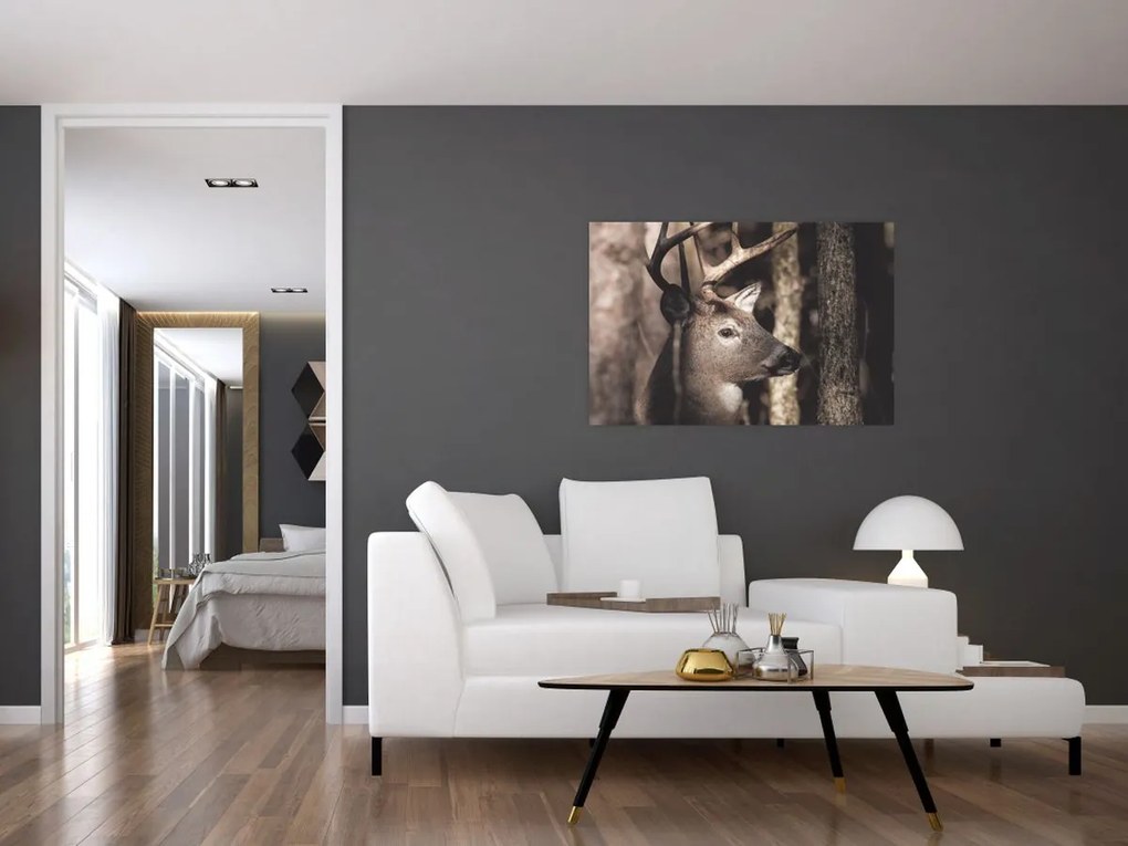 Obraz - Jeleň v lese (90x60 cm)