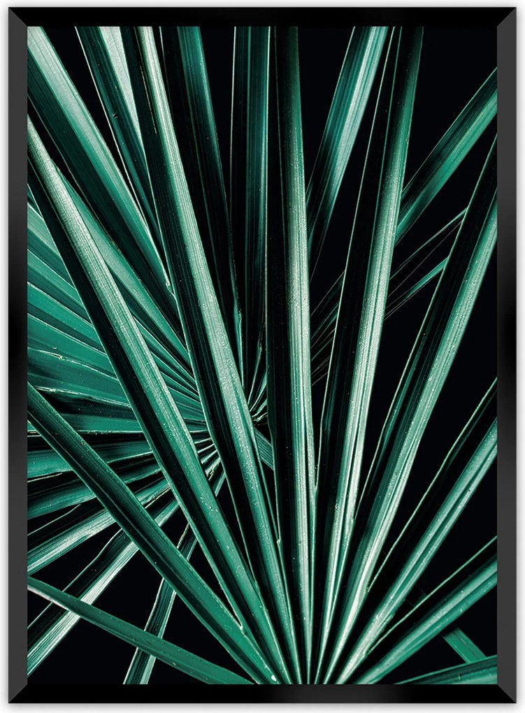 Plagát Dark Palm Tree