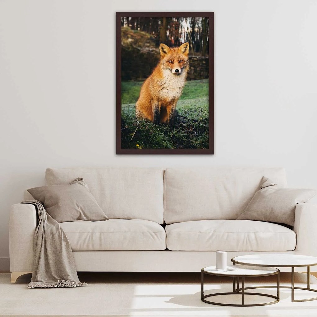 Gario Plagát Líška v lese Farba rámu: Bez rámu, Rozmery: 40 x 60 cm