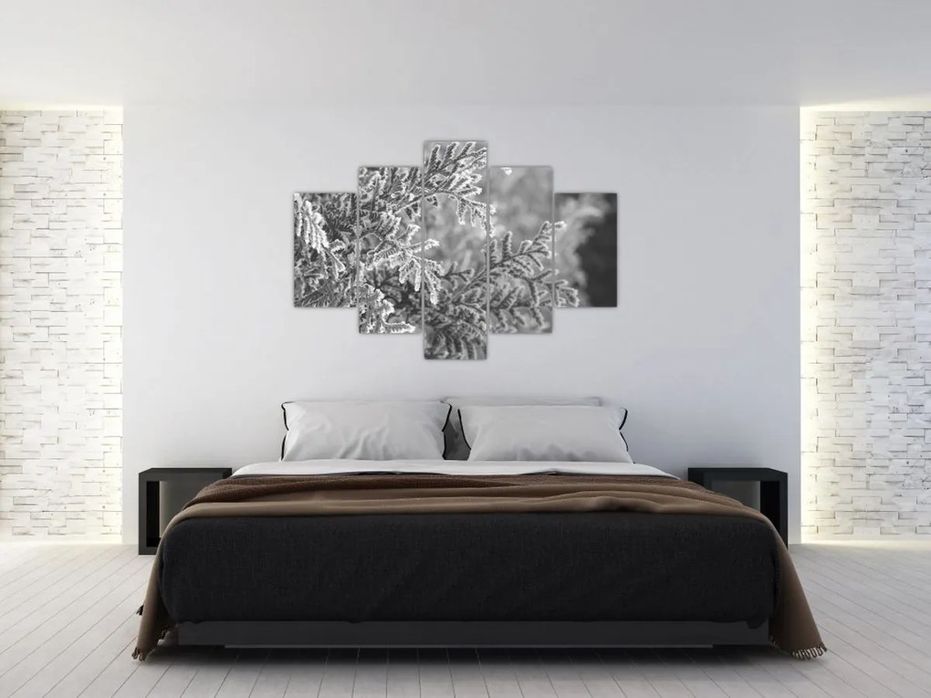 Obraz - Smrekový les (150x105 cm)