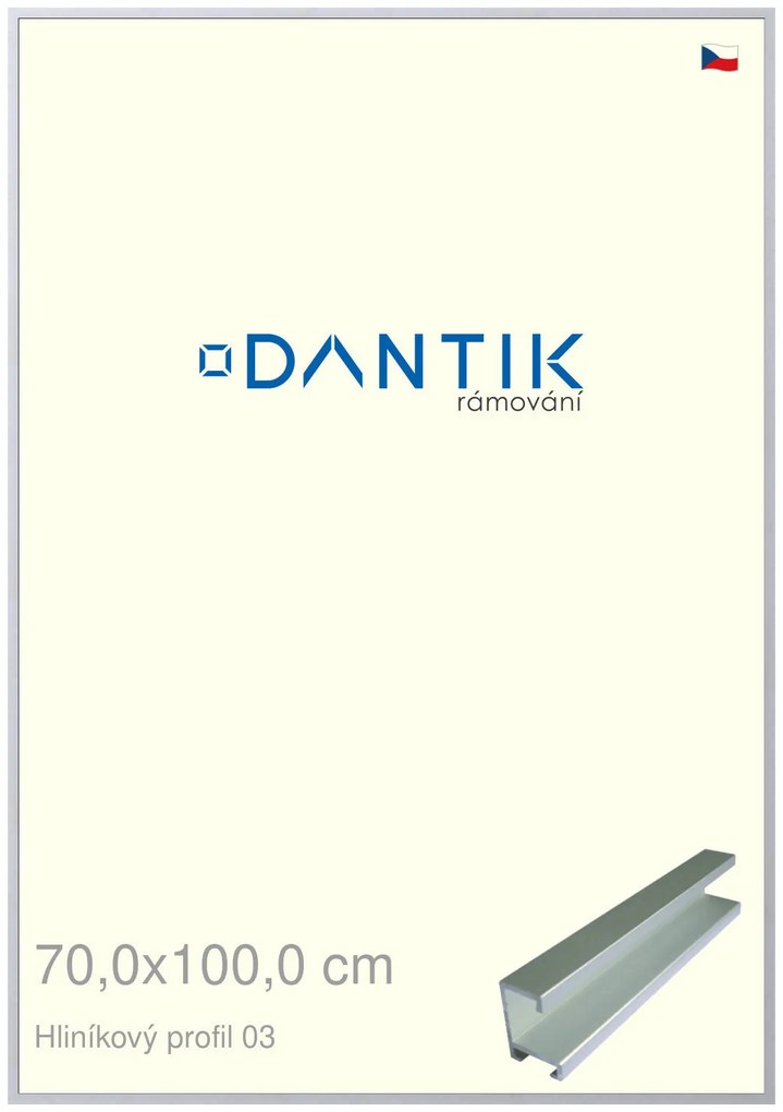 DANTIK rám na obraz 70x100 | ALU Stříbrná matná (Plexi Čiré)