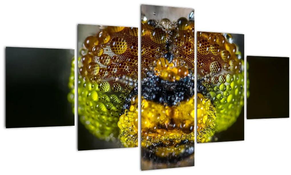 Detailný obraz očí hmyzu (125x70 cm), 40 ďalších rozmerov