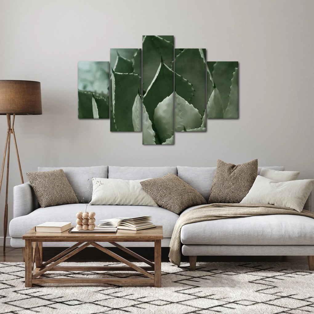 Obraz - Zelená agáve (150x105 cm)