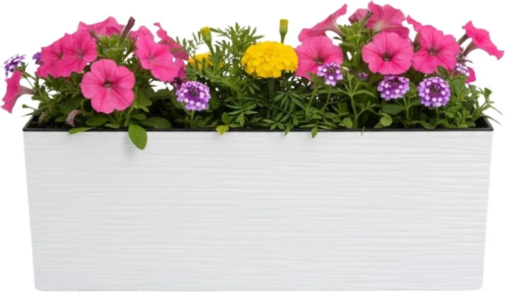 Plastový květináč Bouquet Riflo 56x19 cm bílý