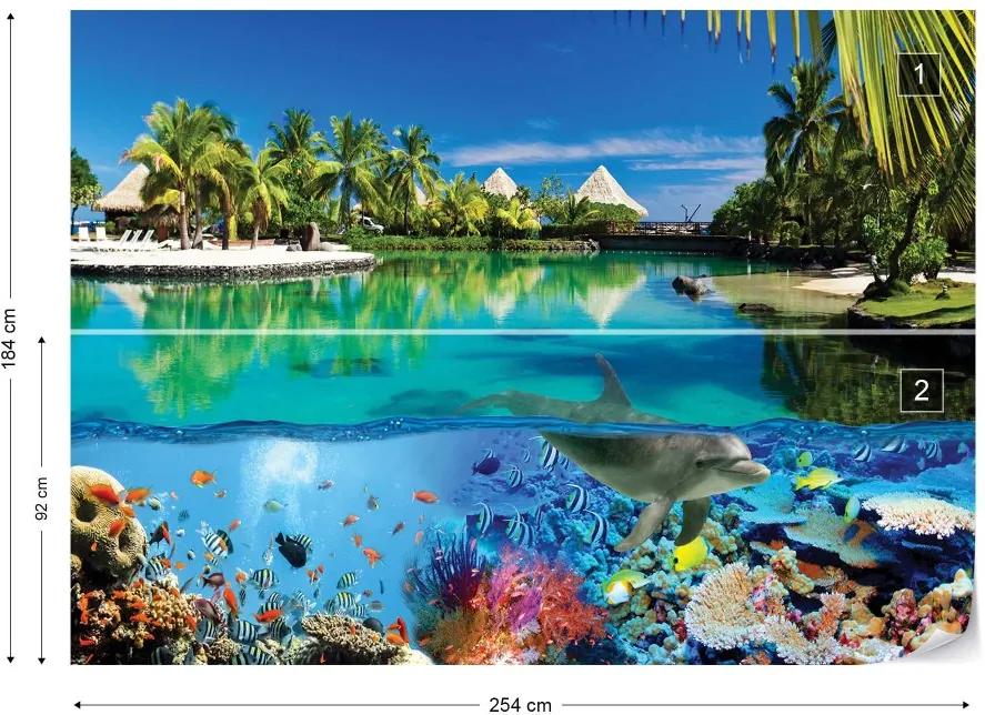 Fototapeta GLIX - Tropical Island Paradise Dolphins Coral Reef + lepidlo ZADARMO Vliesová tapeta  - 254x184 cm