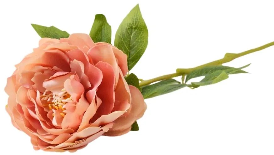 Iskerník 60cm tmavoružová A2010584