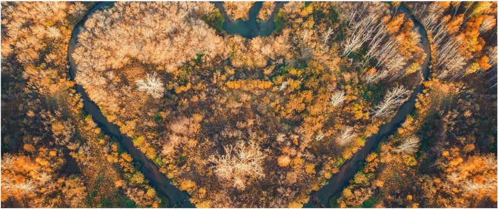 Obraz - Rieka v tvare srdca (120x50 cm)