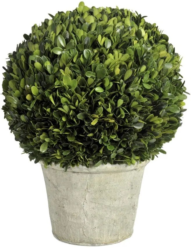Buxusová gule v kvetináči - Ø 30 * 41 cm