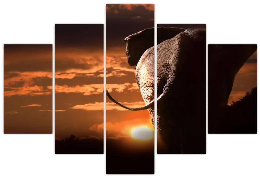 Obraz slona (150x105 cm)