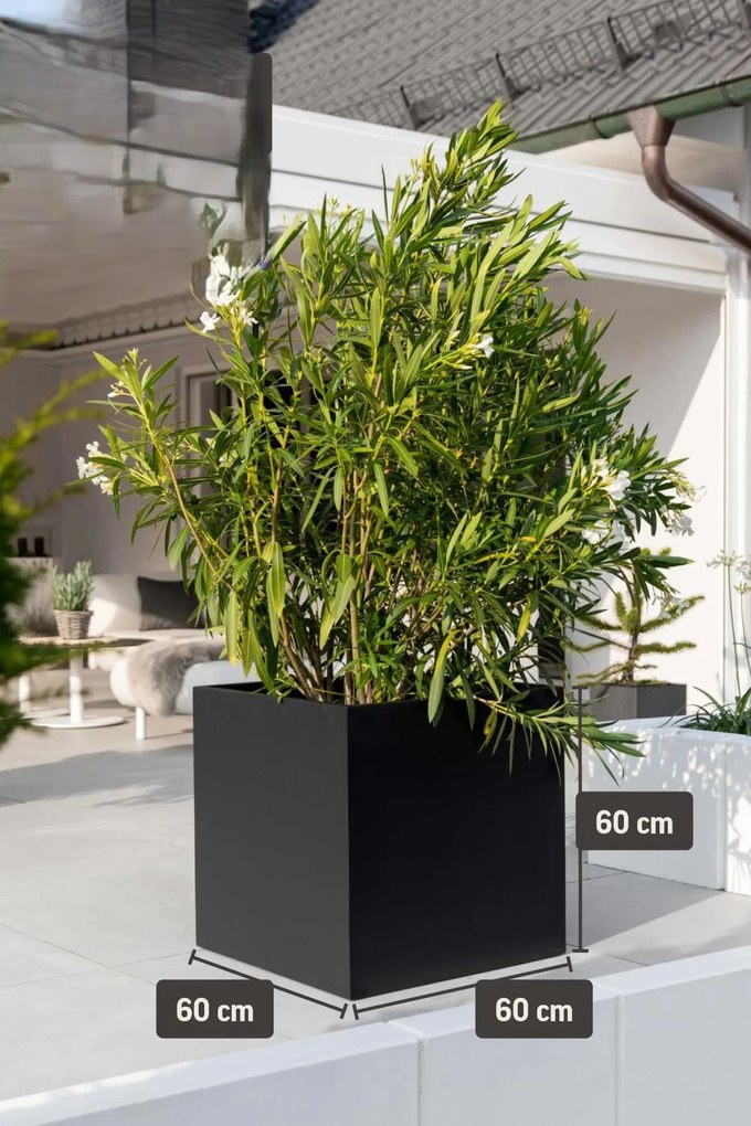 Kvetináč BLOCK, sklolaminát, 60x60x60 cm, antracit