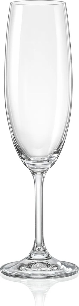 Crystalex poháre na sekt LARA 220 ml 6 ks