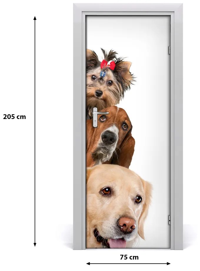 Samolepiace fototapety na dvere Psy a mačky 75x205 cm