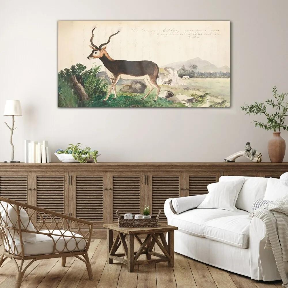 Skleneny obraz Gazelle zvieratá kreslenie