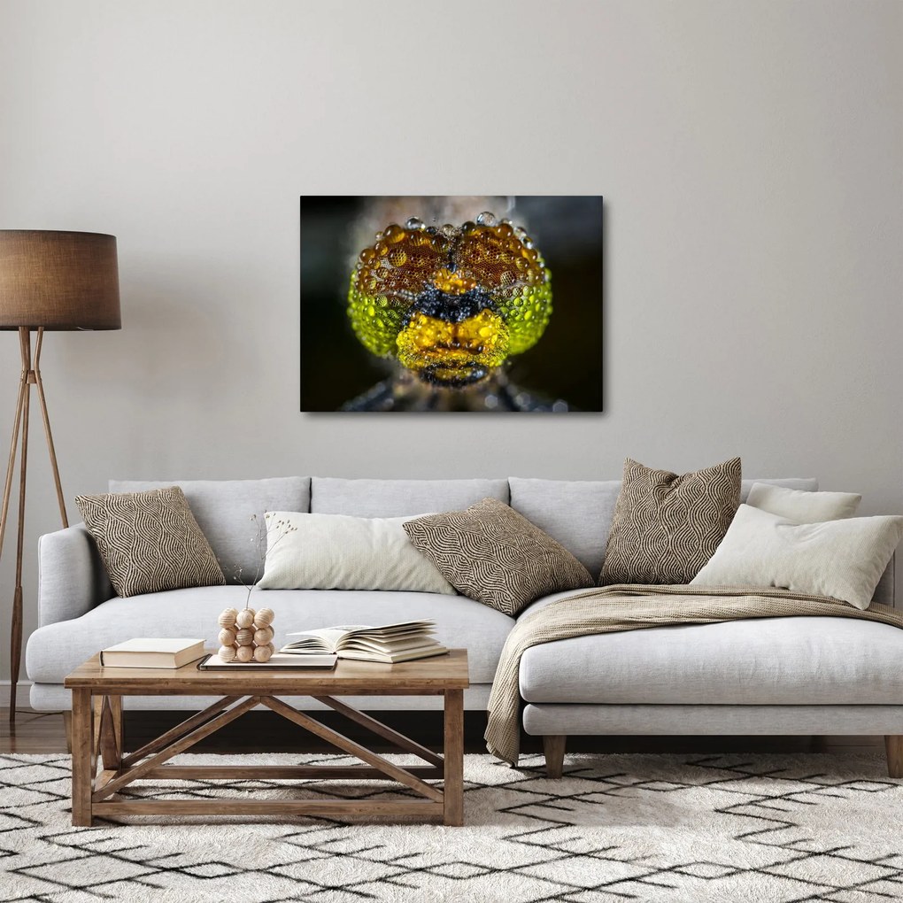 Detailný obraz očí hmyzu (70x50 cm)
