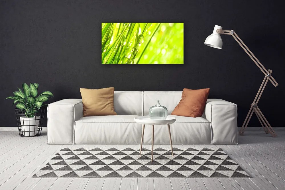 Obraz Canvas Príroda kvapky tráva 120x60 cm