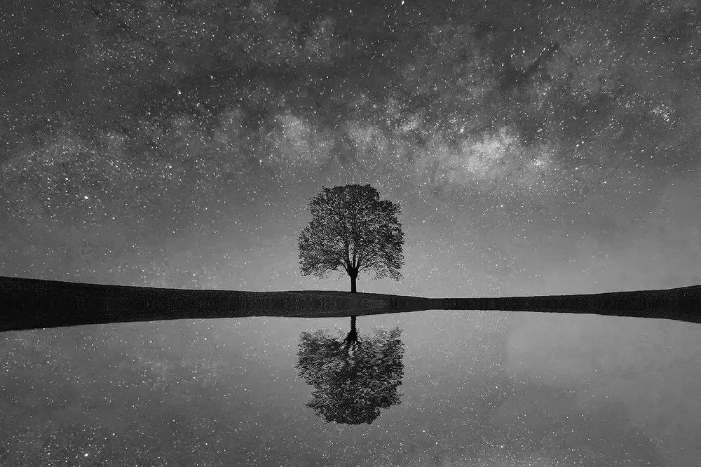 Fototapeta čiernobiela hviezdna obloha nad osamelým stromom - 225x150