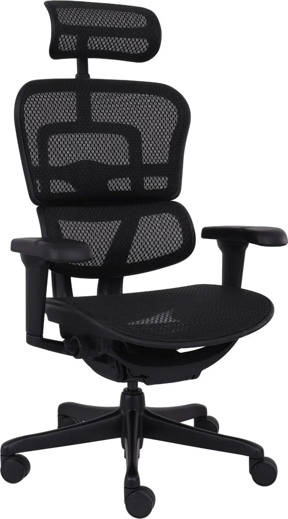 Ergonomické kreslo Ergohuman 2 Ultra BS Black