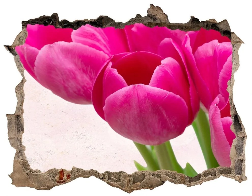 Samolepící díra na stěnu Ružové tulipány nd-k-90952565