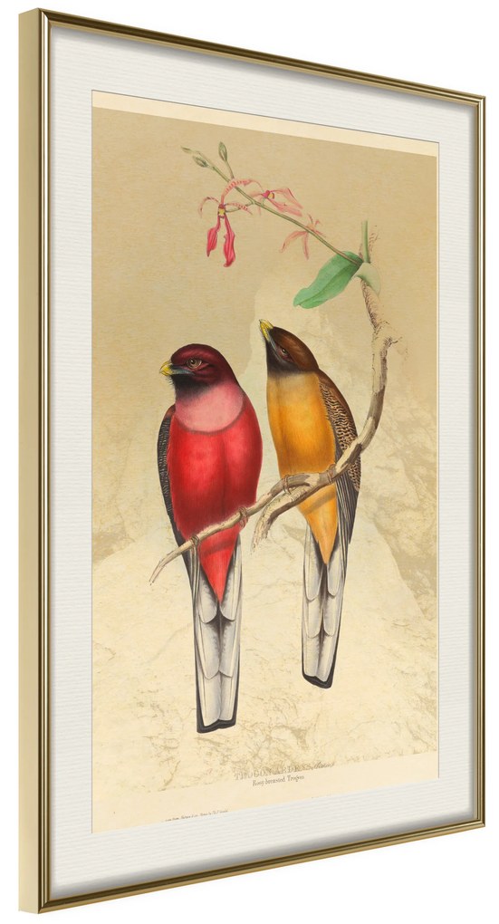 Artgeist Plagát - Birds Twig [Poster] Veľkosť: 20x30, Verzia: Zlatý rám s passe-partout