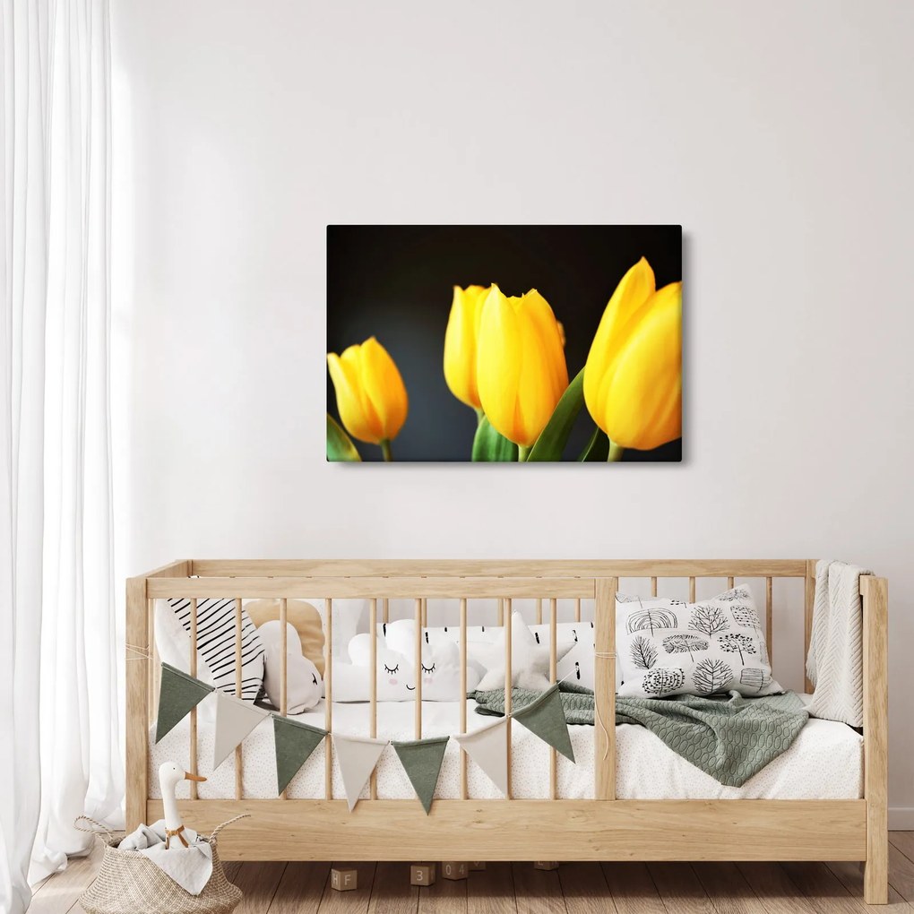 Obraz tulipánov (90x60 cm)