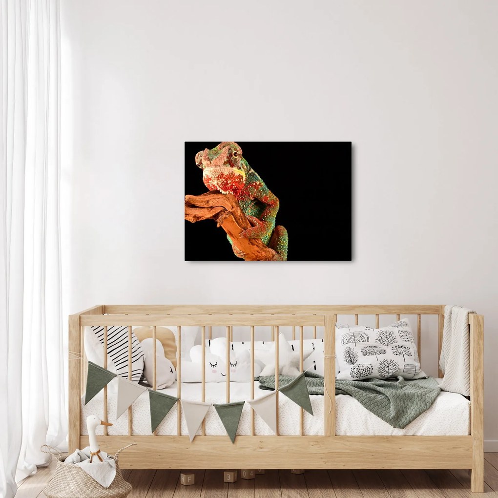 Obraz chameleóna na vetve (70x50 cm)