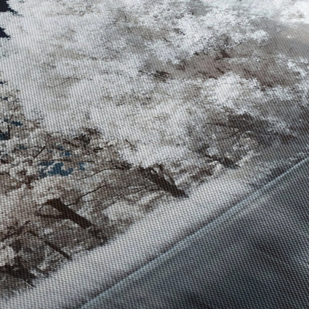 Obraz - Snehobiele stromy (120x50 cm)