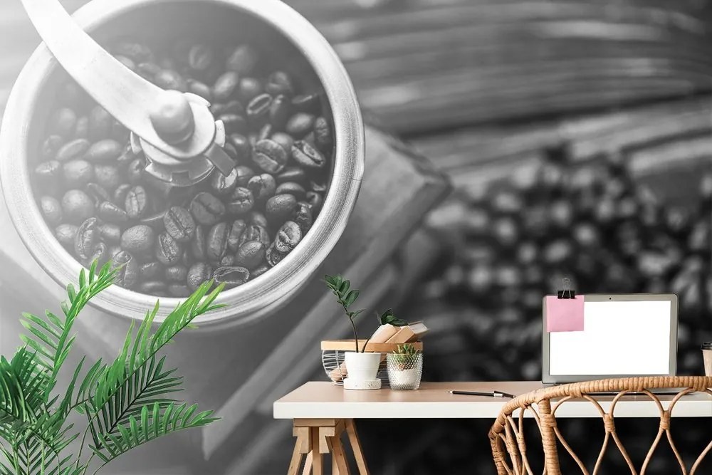 Fototapeta čiernobiely vintage mlynček na kávu - 150x100