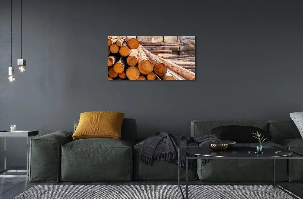 Obraz na skle Drevené guličky 120x60 cm