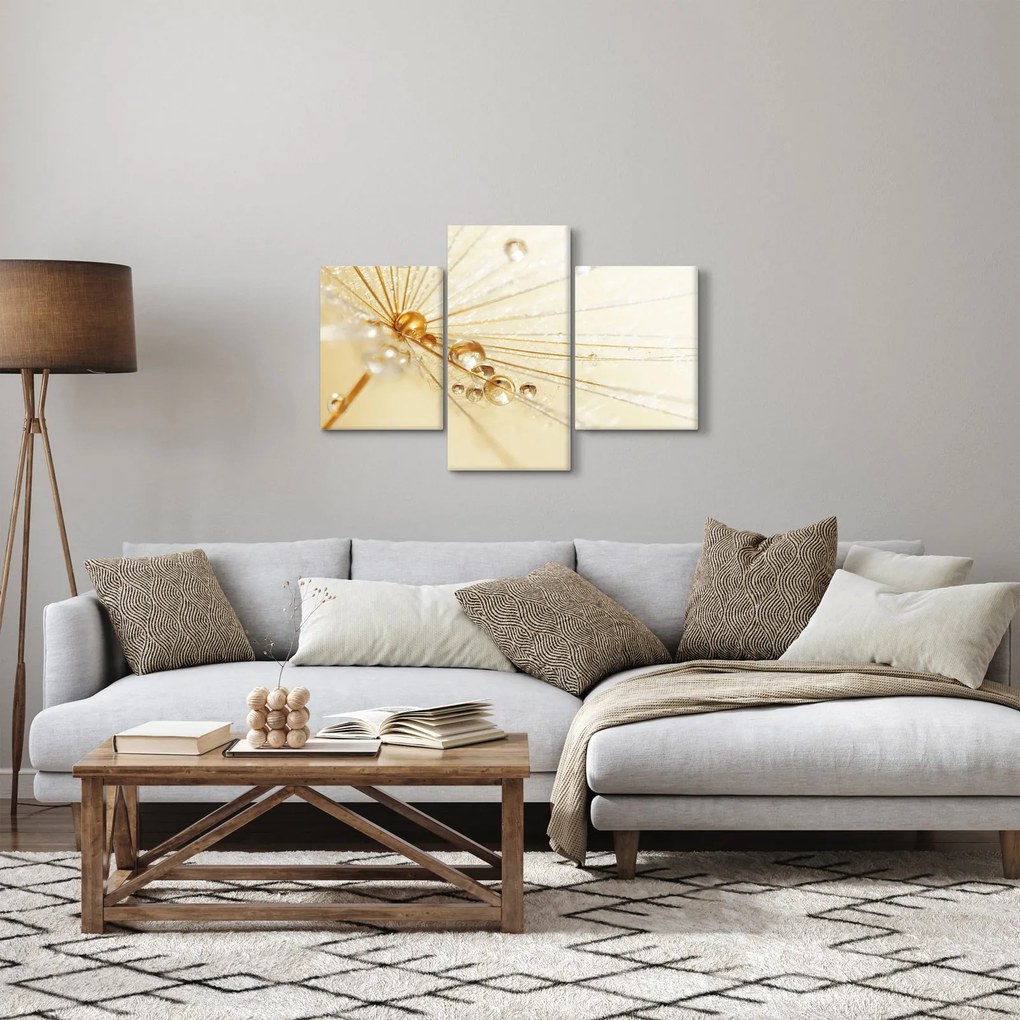 Obraz - Makro fotografie púpavy (90x60 cm)