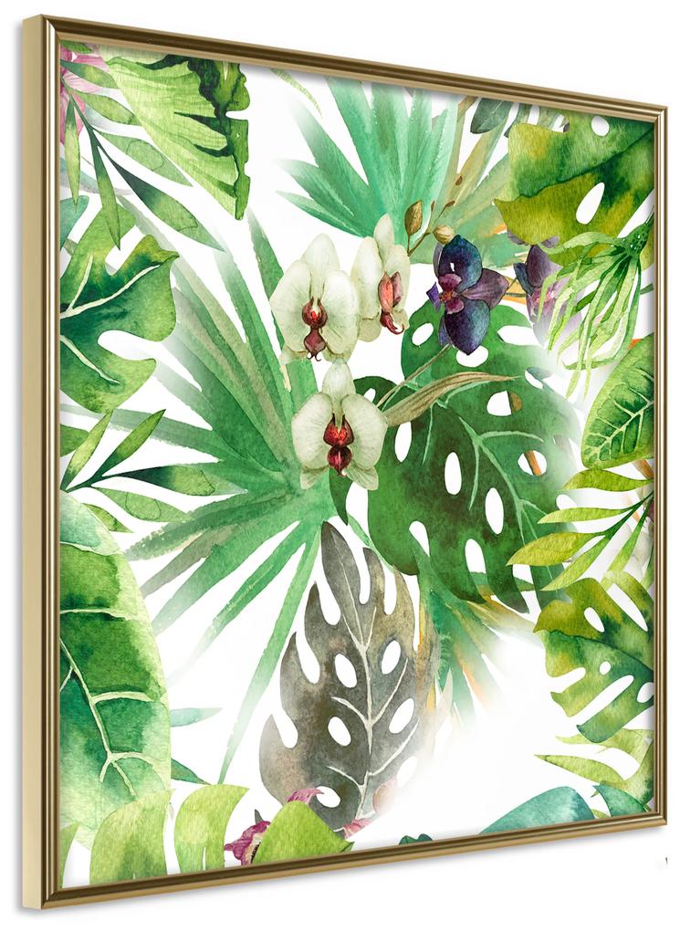 Artgeist Plagát - Tropical Shadow (Square) [Poster] Veľkosť: 50x50, Verzia: Zlatý rám s passe-partout
