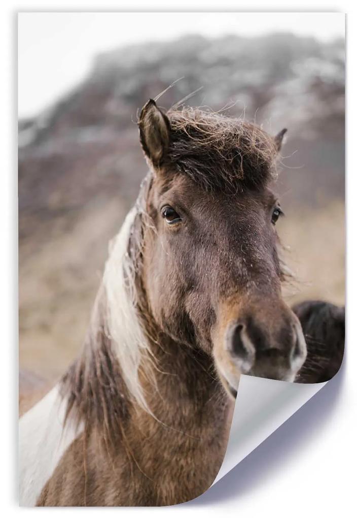 Gario Plagát Kôň na horskom pozadí Farba rámu: Bez rámu, Rozmery: 40 x 60 cm