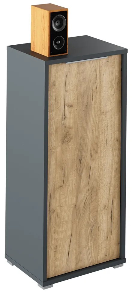 Skrinka, grafit/dub artisan, RIOMA NEW TYP 10
