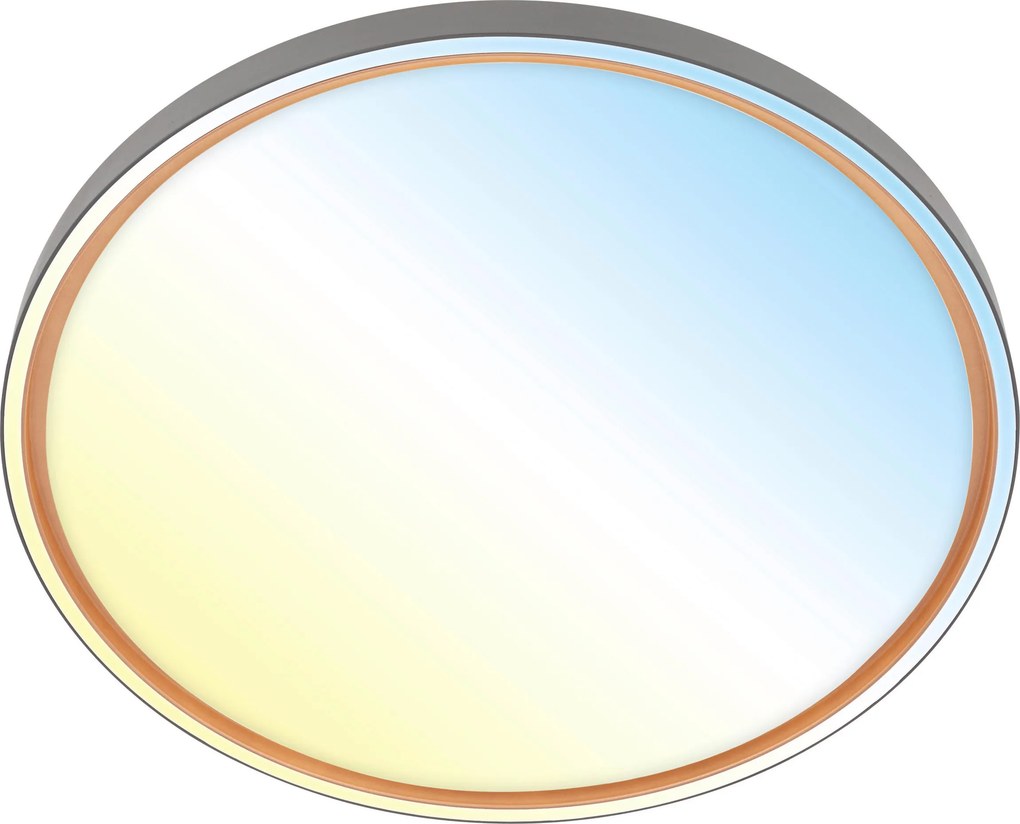 XXXLutz STROPNÉ LED SVIETIDLO, 49.5/6,5 cm - Interiérové svietidlá - 004474017202
